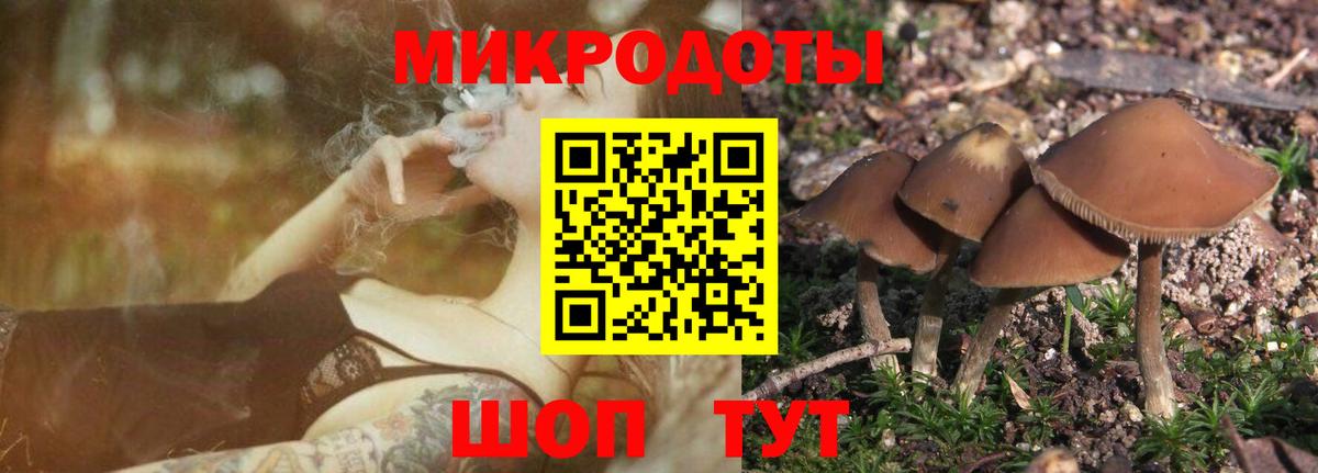 Иваново  Галлюциногенные грибы Psilocybe  Вход с VPN 